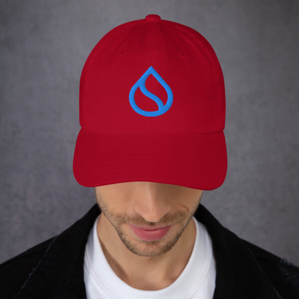 SUI Dad hat - Image 4