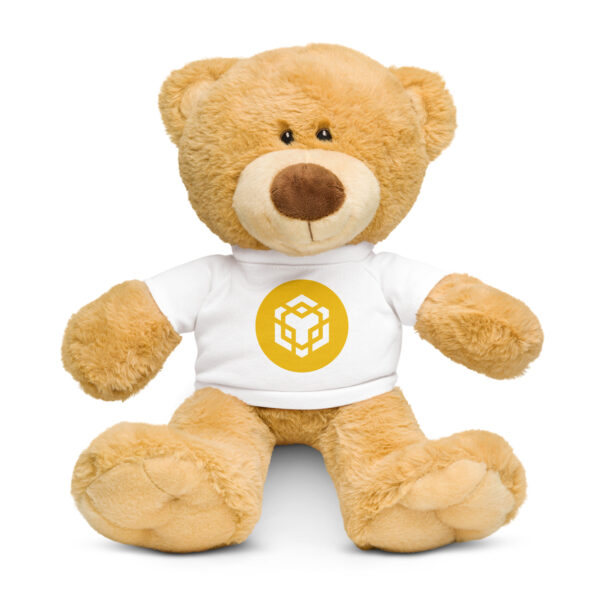 BINANCE Teddy bear