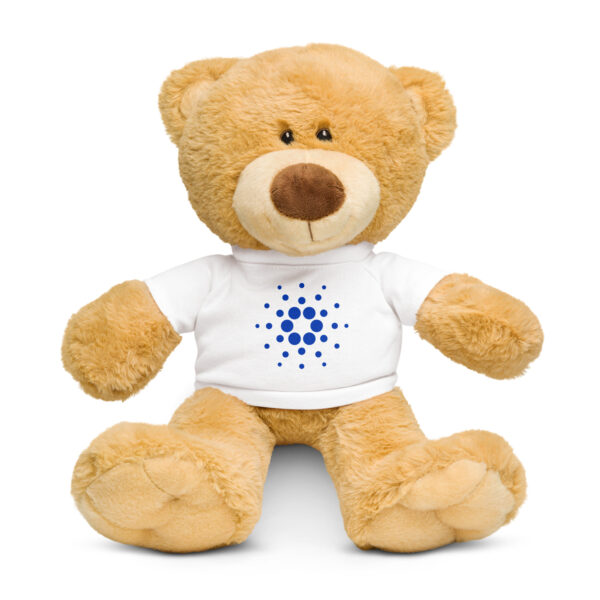 CARDANO Teddy bear